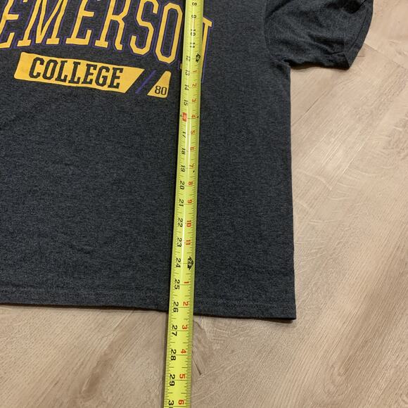 Champion Emerson College Lions T-Shirt Men's Large L Gray Collegiate NCAA Tee - Picture 5 of 6